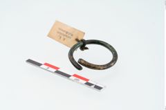 Foto von Bronzering (NHMW-PRAE-024709)